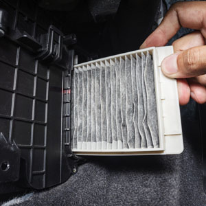 Cabin Air Filter